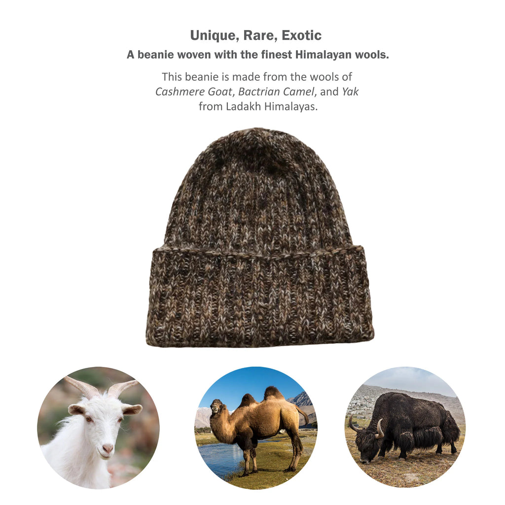 Rare Exotic Beanie from Ladakh Blend of 100 Pure Pashmina Cashmere Double Hump Bactrian Camel Wool Himalayan Yak Wool 5 Ply Yarn Golden Brown